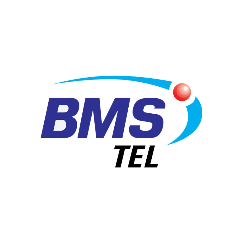BMSTL Bilanço Dönemleri