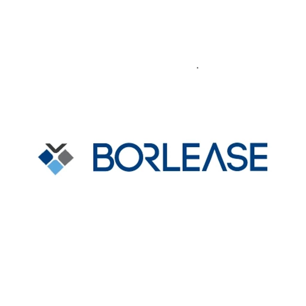 BORLS Bilanço Dönemleri