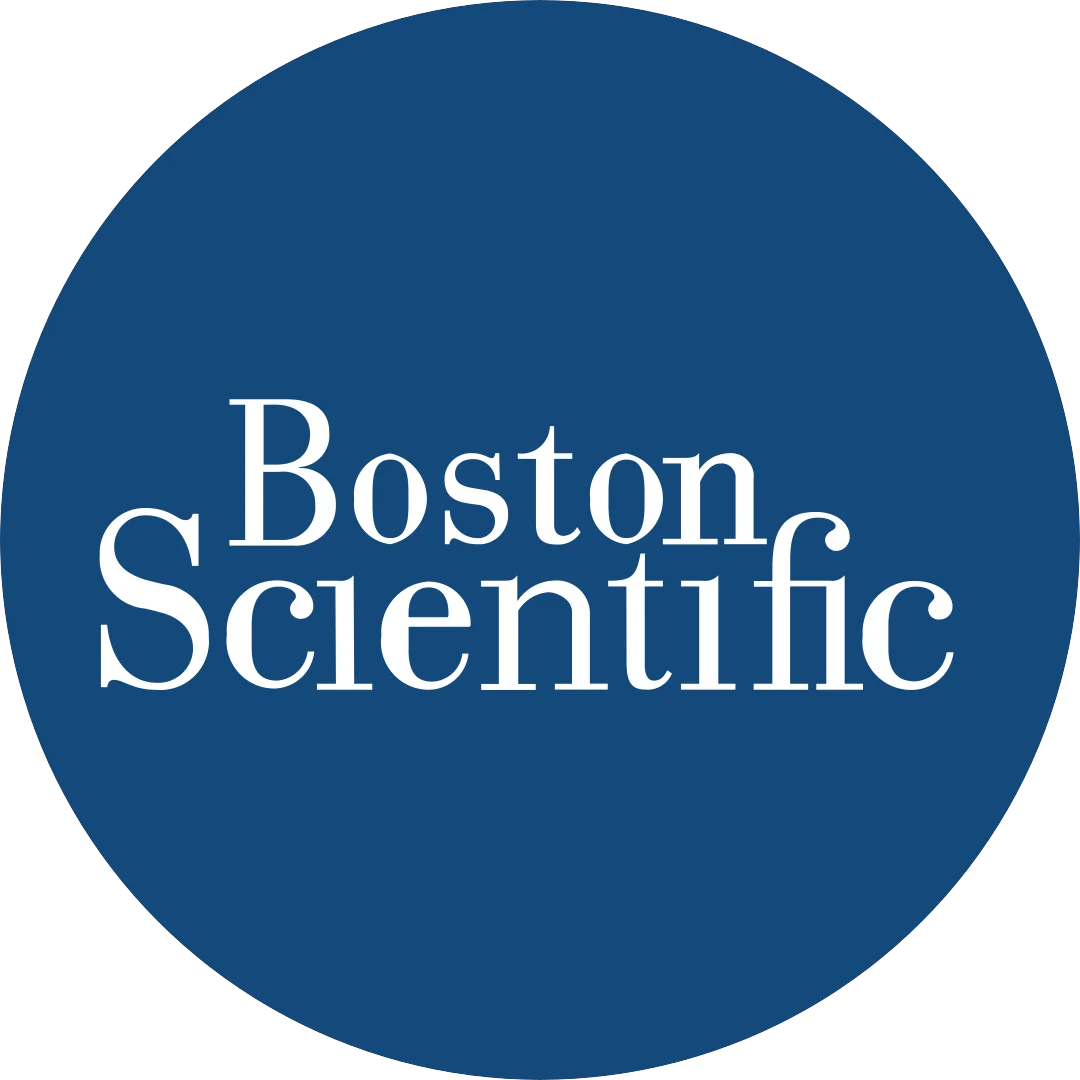 BSX Logo