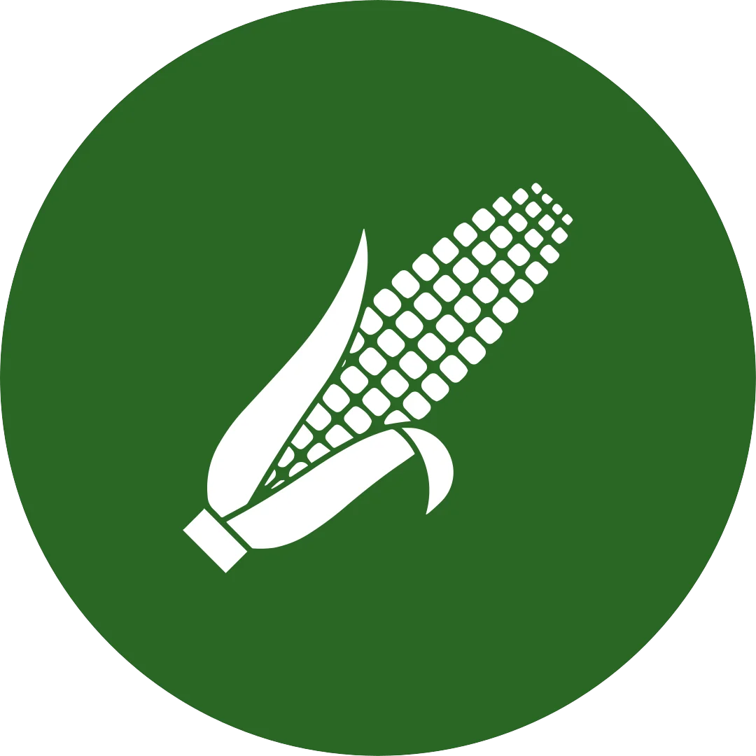 Mısır Logo