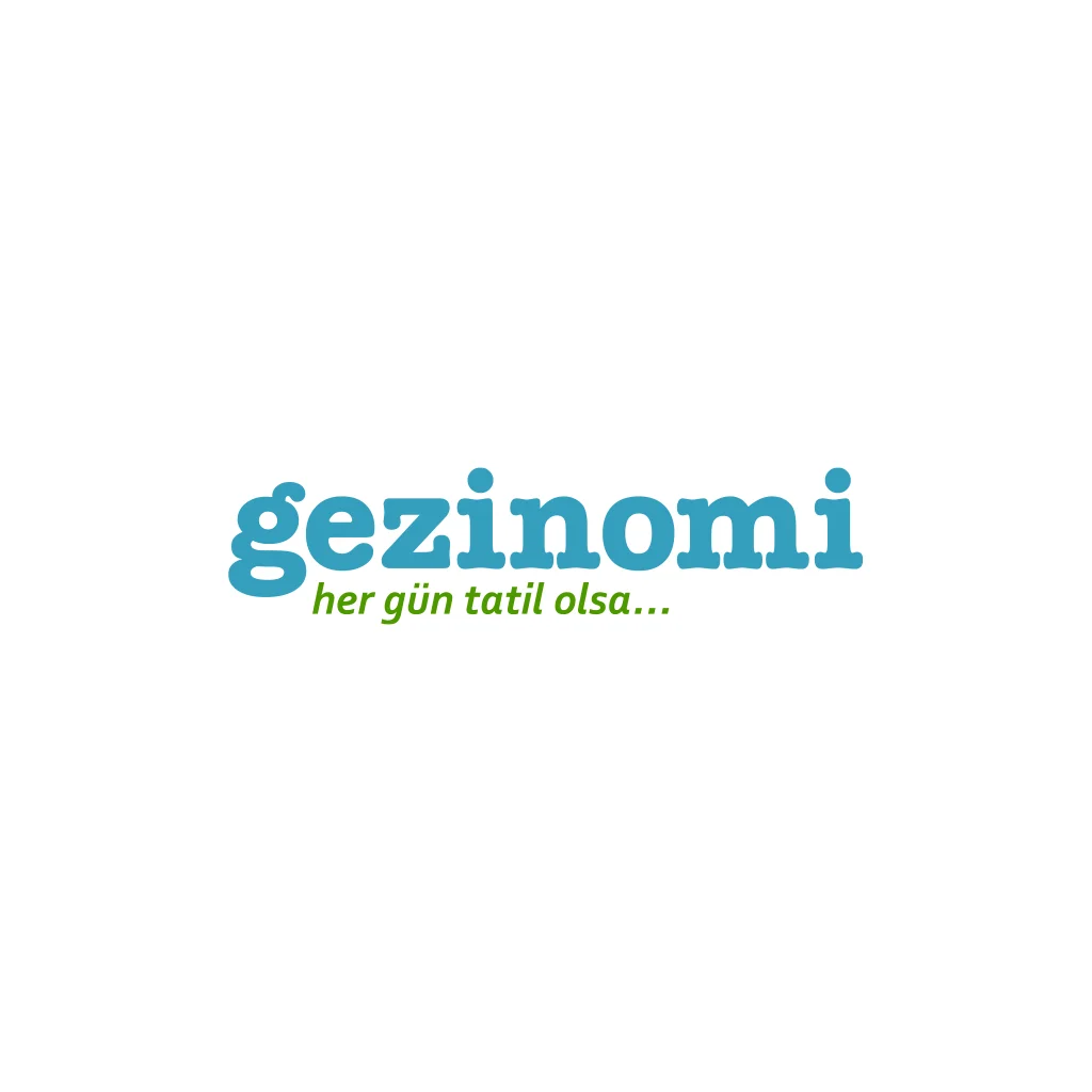 GZNMI Bilanço Dönemleri
