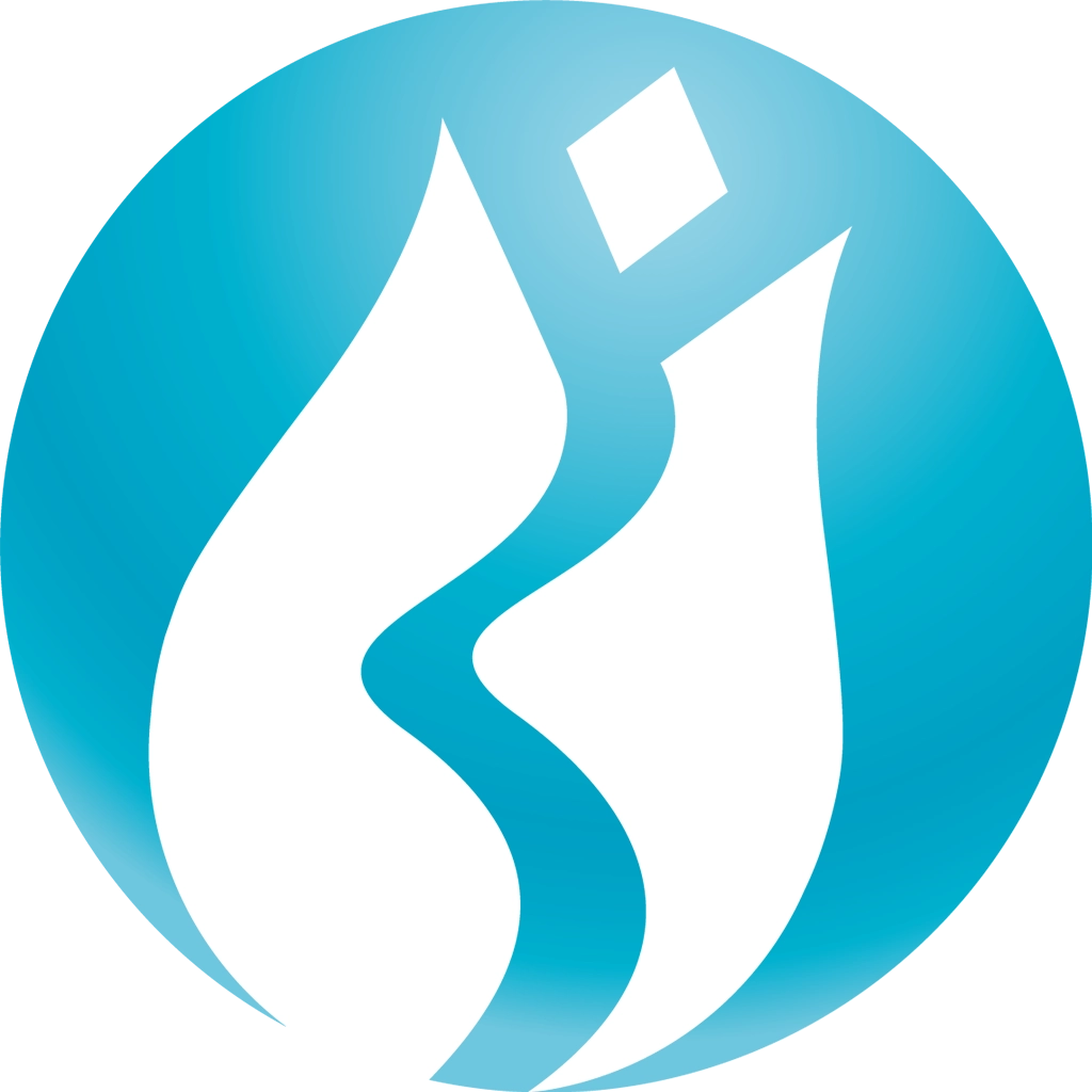 USDIndex Logo