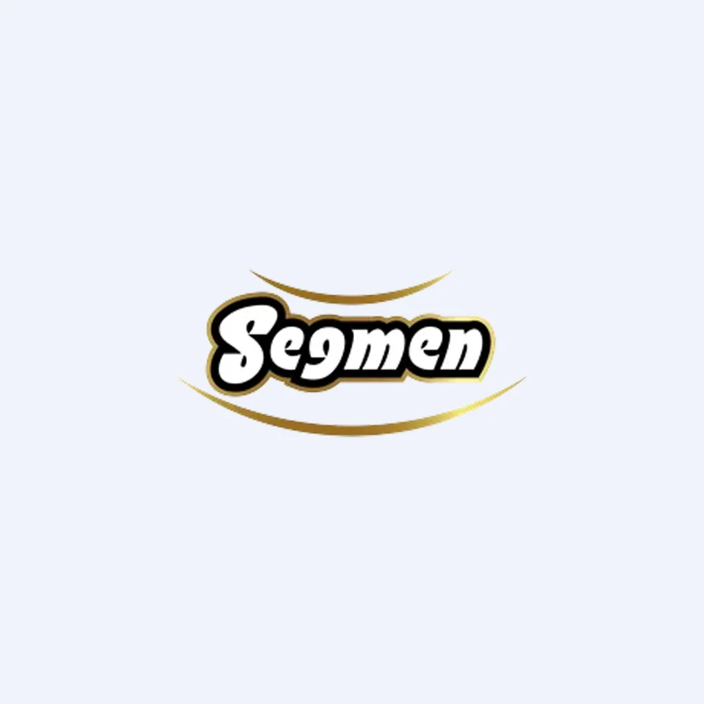 SEGMN Bilanço Dönemleri