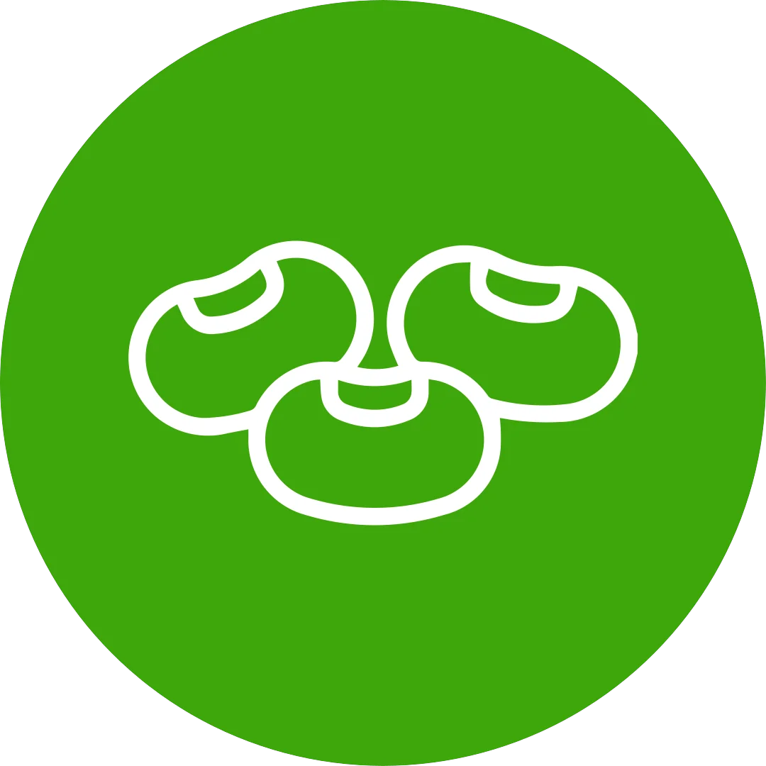 Soya Logo