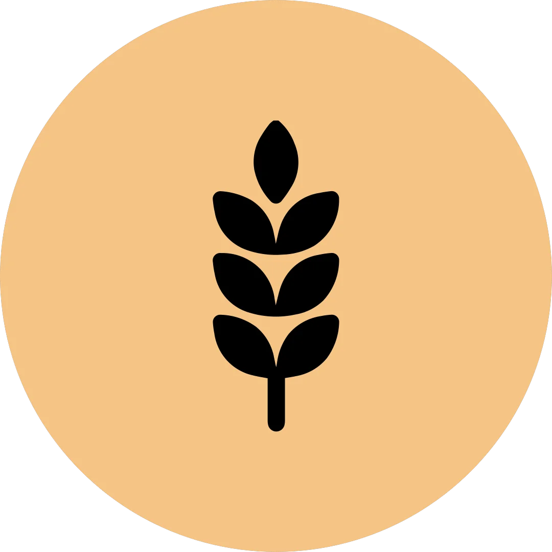 Buğday Logo