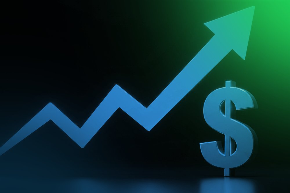 Faiz Artarsa Dolar Ne Olur?