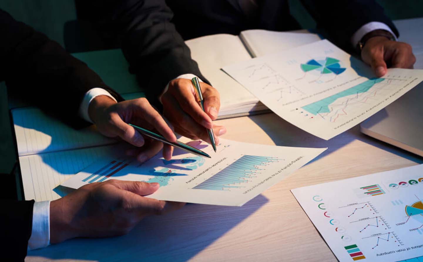 PMI Verisi Nedir?